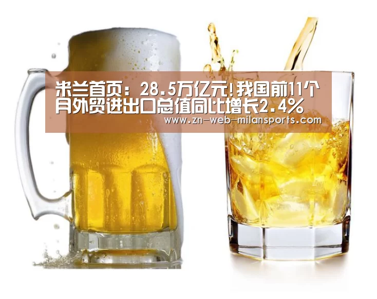 米兰首页:28.5万亿元!我国前11个月外贸进出口总值同比增长2.4%(图1) 米兰运动