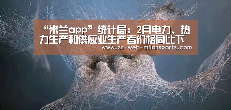 “米兰app”统计局:2月电力、热力生产和供应业生产者价格同比下降1.1%(图2) 米兰首页