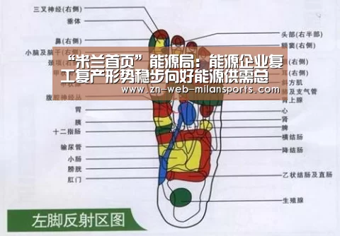 “米兰首页”能源局:能源企业复工复产形势稳步向好能源供需总体平衡(图1) 米兰体育官网下载