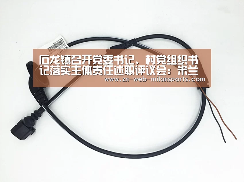 石龙镇召开党委书记、村党组织书记落实主体责任述职评议会:米兰首页(图3) 米兰体育官网下载
