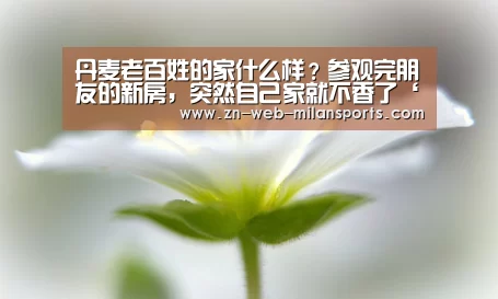 丹麦老百姓的家什么样?参观完朋友的新房,突然自己家就不香了‘米兰首页’(图3) 米兰体育官网下载