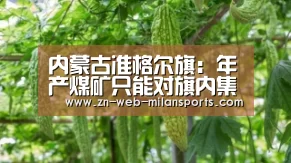 内蒙古准格尔旗:年产煤矿只能对旗内集装站供煤禁止对外销煤:米兰首页(图2) 米兰体育官网下载